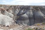 PICTURES/Blue Mesa/t_P1010466.JPG